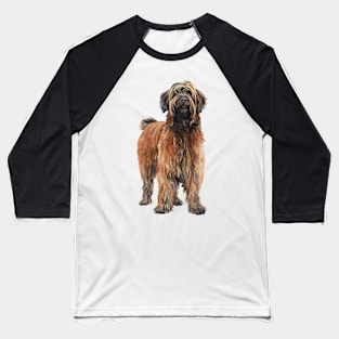 Briard Baseball T-Shirt